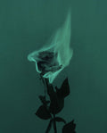burning passions