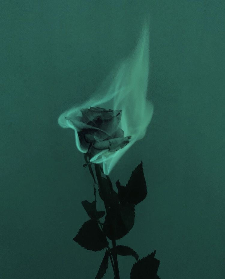 burning passions